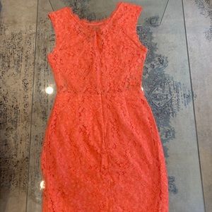 Dolce vita lace dress